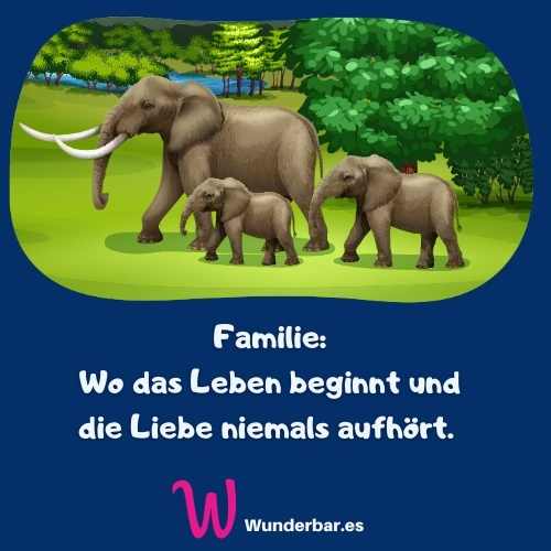 Read more about the article Familie ist die Wiege des Glücks